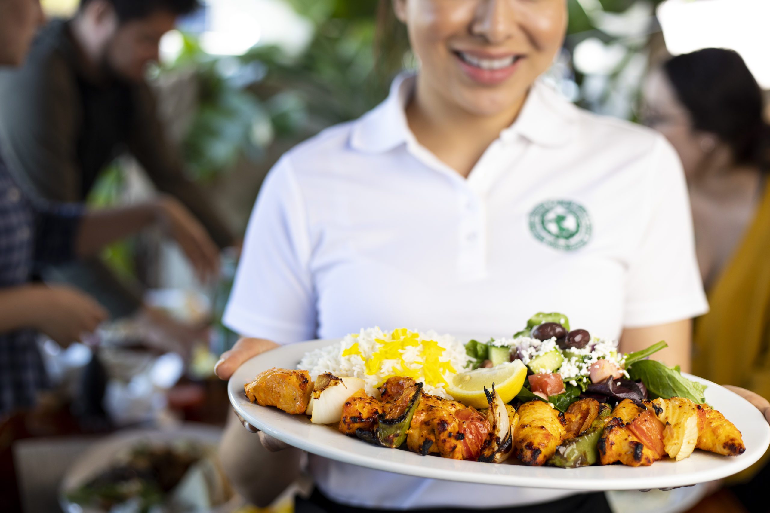 Panini Kabob Grill PKG Fresh Healthier Mediterranean Food